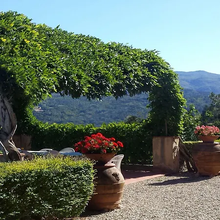 I Delfini Villa Vicchio