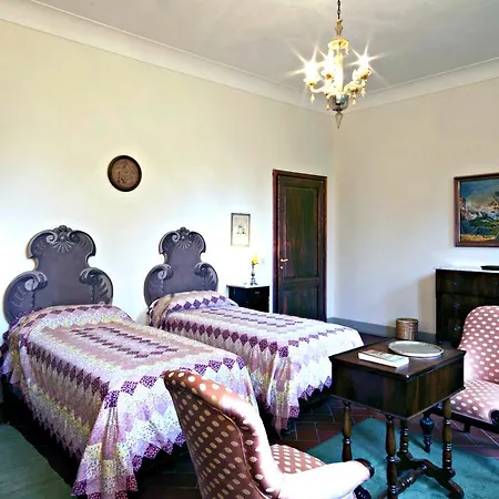 I Delfini Vicchio