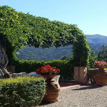 Villa I Delfini Vicchio